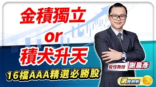 2024.06.06【金積獨立 or 積犬升天 16檔AAA精選必勝股】 飆股啟航 謝晨彥分析師(有CC字幕)