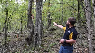 50 Years of Forest Succession Across Four Forest Types in Mid-Missouri - Ben Knapp