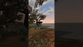 Killing the adoring fan in Morrowind every day until Skywind and Skyblivion are released Day - 524