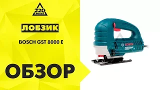 Обзор Лобзик BOSCH GST 8000 E