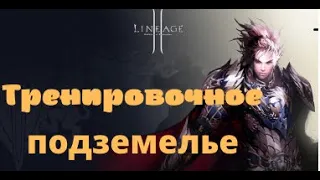 Тренировочное Подземелье в Lineage 2 Essence