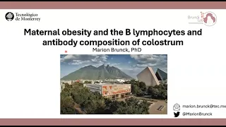 Maternal obesity and the B lymphocyte compartment of colostrum