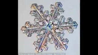 US scientist shows on microscope how beautiful snowflakes are