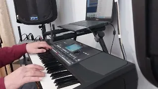 Червона рута.  Korg PA600