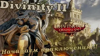 [стрим][Divinity]  - Начинаем приключения