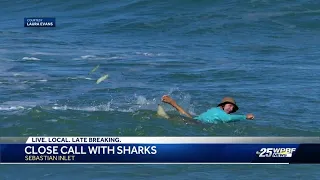 PHOTOS: Man gets up close and personal with shark in Sebastian Inlet