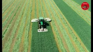 Mowing Triticale with a John Deere 6175R with Claas Triple Mowers