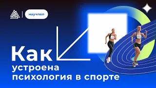 7 вопросов спортивному психологу: как связаны психология и спорт?