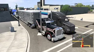 ATS | Hauling Cattle From Artesia (NM) to Dalhart (TX)