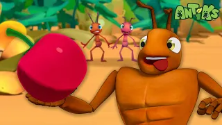 The Great Berry Rescue | 🐛 Antiks & Insectibles 🐜 | Funny Cartoons for Kids | Moonbug