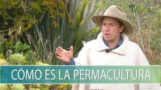 Como es la permacultura - TvAgro por Juan Gonzalo Angel Restrepo
