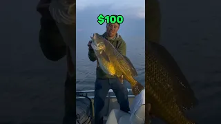 How To Get Started Fishing With $100 (for beginners)