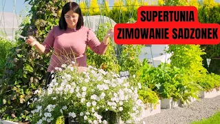 SUPERTUNIE NA ZIMĘ