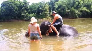 Elephant Tours in Bangkok