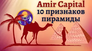 Amir Capital 10 признаков пирамиды | Анализ крипто фонда Amir Capital по 10 признакам пирамиды