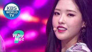 LOONA(이달의 소녀) - Why Not? (Music Bank) | KBS WORLD TV 201030