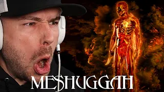 Hearing MESHUGGAH For The First Time - The Abysmal Eye (REACTION!!!)