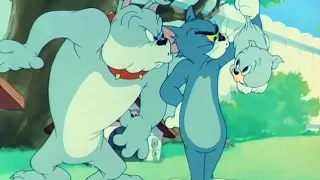 Tom and Jerry Classic E 07 A - LOVE THAT PUP |LOOcaa|