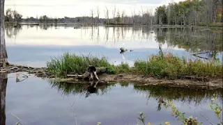 Поринаю я в океан Святого Духа. Христианская песня.