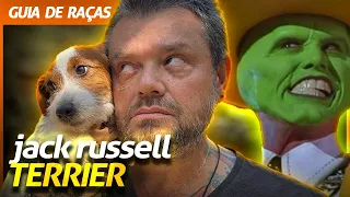 JACK RUSSELL TERRIER, O CACHORRO DO MÁSKARA! | RICHARD RASMUSSEN