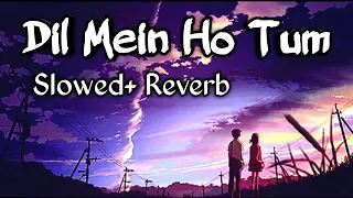 Dil Mein Ho Tum Slowed and Reverb Song!! Dil Mein Ho Tum Lofi Song!