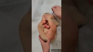 Womb Baby - How Babies Are Born