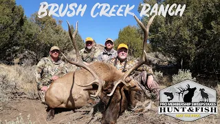 Pro Membership Sweepstakes Brush Creek Ranch Elk Hunt in 2019