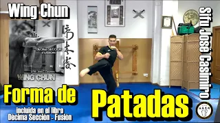 APRENDER WING CHUN KUNG FU