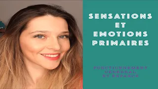 Emotions primaires et sensations