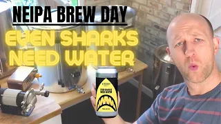 Brew Day | NEIPA Even Sharks Need Water by Verdant Brewing Co | Ss Brewtech