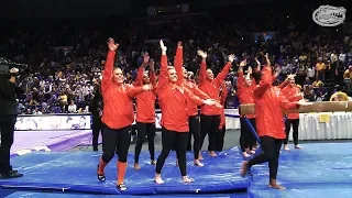 Florida Gymnastics: 2019 LSU Highlight Video