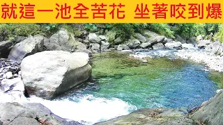 就這一池全苦花 坐著咬到爆 @一個人ㄉ深山旅行 #溪釣 #苦花