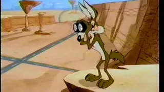 Energizer Wile E Coyote Commercial