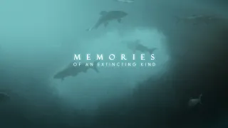 MEMORIES OF AN EXTINCTING KIND | Short Film | Official Trailer