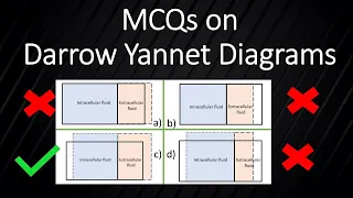 Darrow Yannet Diagram practice questions