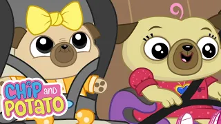 Chip and Potato | Grandma Pug's Birthday // Puggy House Guest | Cartoons For Kids | Watch on Netflix