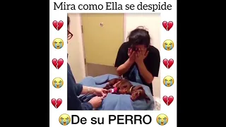 SI LLORAS PIERDES