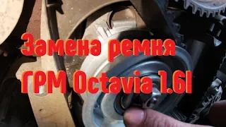 Замена Ремня ГРМ Octavia a5 1.6
