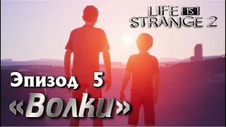 Прохождение Life is strange 2. ЭПИЗОД 5 - ВОЛКИ. ЛАГЕРЬ в АРИЗОНЕ, ГРАНИЦА, ТЮРЬМА и МЕКСИКА. ФИНАЛ.