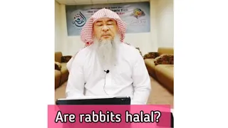 Are Rabbits halal to eat? - Assim al hakeem