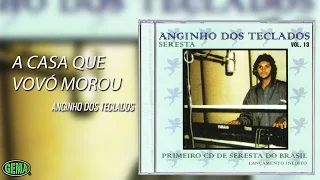 Anginho dos teclados Vol.13 - A casa que vovó morou