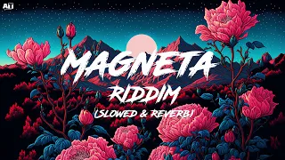 Magenta Riddim (Slowed & Reverb) - DJ Snake