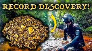 $10,000 Gold Deposit Found in 2 Days