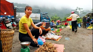 Ana's Harvesting Taro, Ginger and Chicken Eggs Bringing to the Market for Sale | Ana Bushcraft