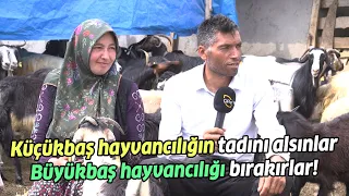 "Küçükbaşın Tadını Alsınlar Büyükbaş Hayvancılığı Bırakırlar!" / HEDEF 1000 BAŞ