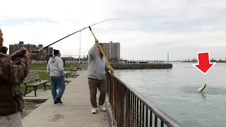 BIG Lake St.Clair MUSKY fishing - 6 FISH ONE DAY ON SHORE!!