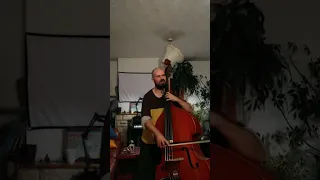 Bedlam Boys/Mad Thom of Bedlam (old English folk song on double bass)