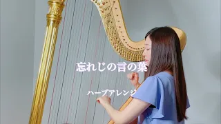 グリムノーツ / 忘れじの言の葉【藝大生がハープで演奏】short ver. - Harp cover