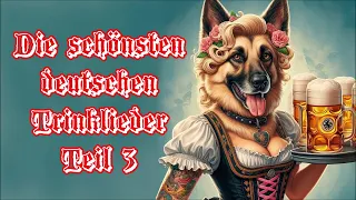 Die schönsten deutschen Trinklieder Teil 3 (mit Text) - German drinking Songs + English translation