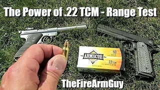 The Power of .22 TCM versus .22 Long Rifle - TheFireArmGuy